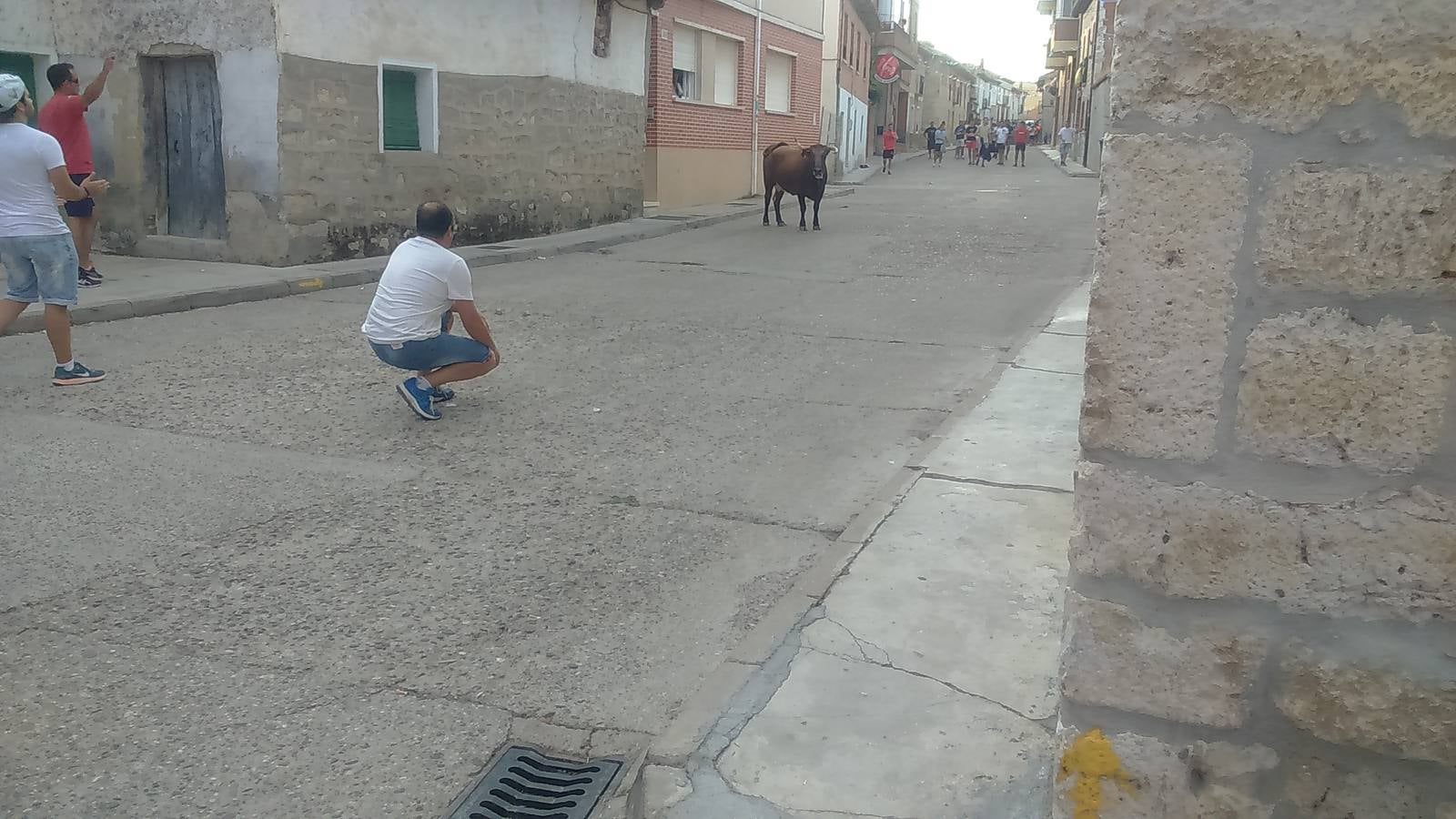 Segundo encierro de las fiestas de Wamba (Valladolid)