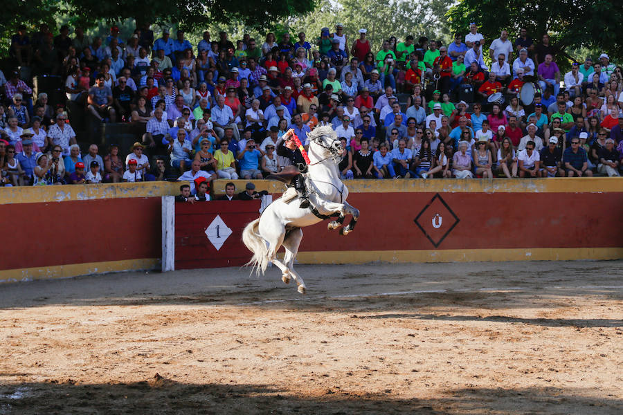 Feria Taurina de Linares de Riofrío