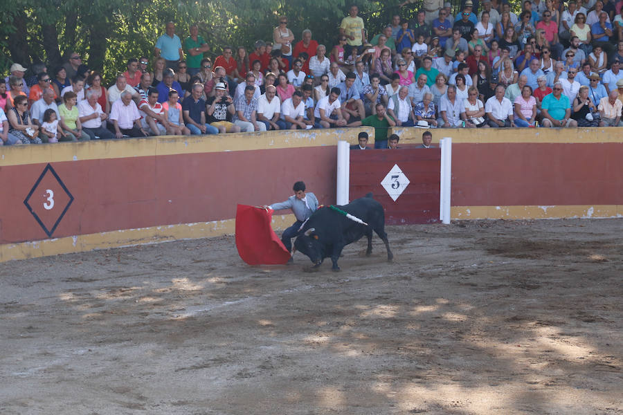 Feria Taurina de Linares de Riofrío