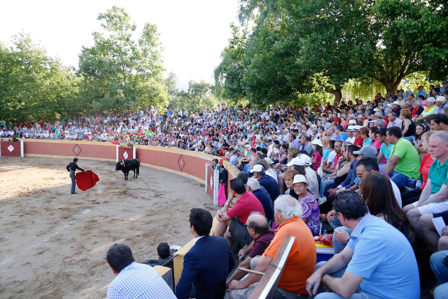 Feria Taurina de Linares de Riofrío