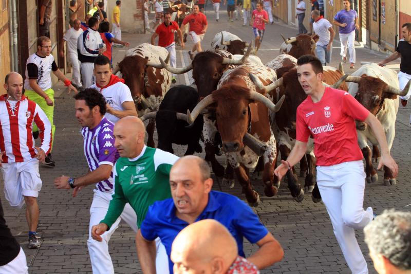 Primer encierro en Cuellar (Segovia)