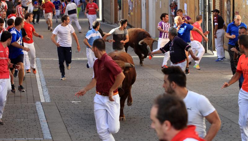 Primer encierro en Cuellar (Segovia)
