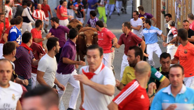 Primer encierro en Cuellar (Segovia)