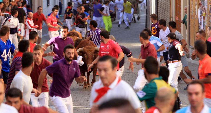 Primer encierro en Cuellar (Segovia)