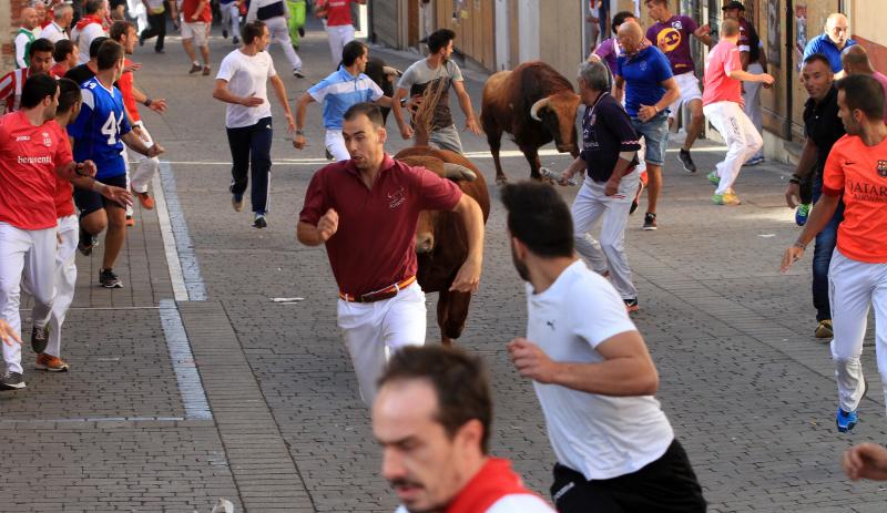 Primer encierro en Cuellar (Segovia)