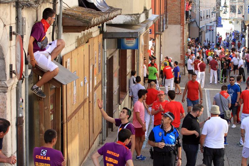 Primer encierro en Cuellar (Segovia)