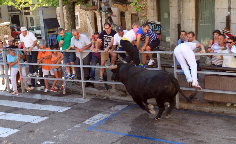 Segundo encierro en las fiestas de Cuellar