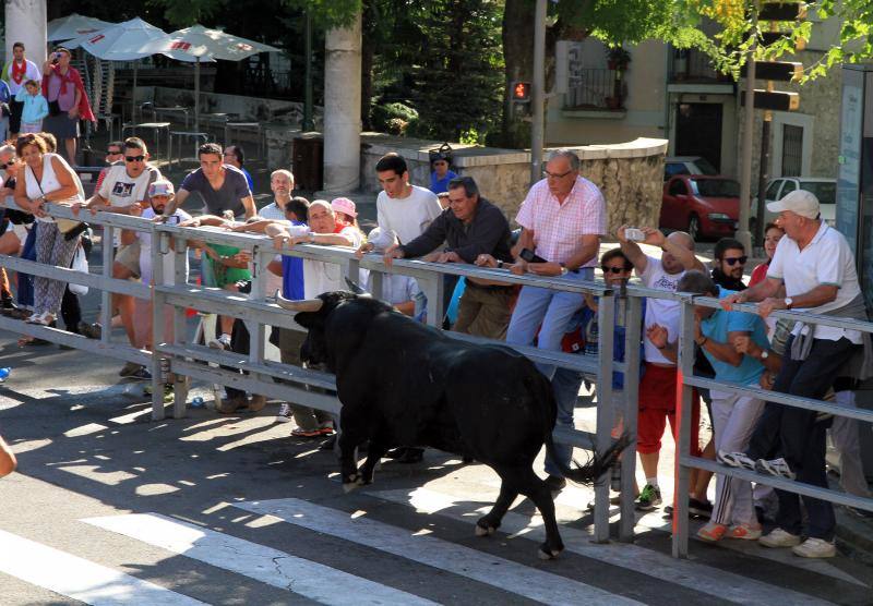 Segundo encierro en las fiestas de Cuellar