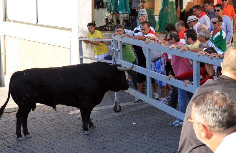 Segundo encierro en las fiestas de Cuellar