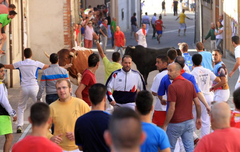 Segundo encierro en las fiestas de Cuellar