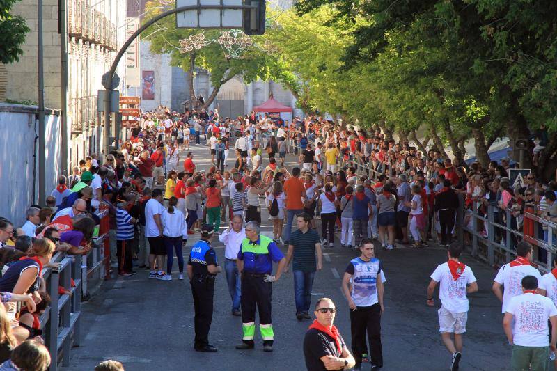 Segundo encierro en las fiestas de Cuellar