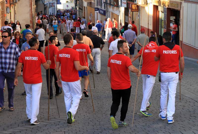 Segundo encierro en las fiestas de Cuellar