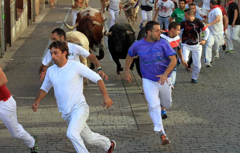 Tercer encierro en las fiestas de la Virgen del Rosario en Cuéllar