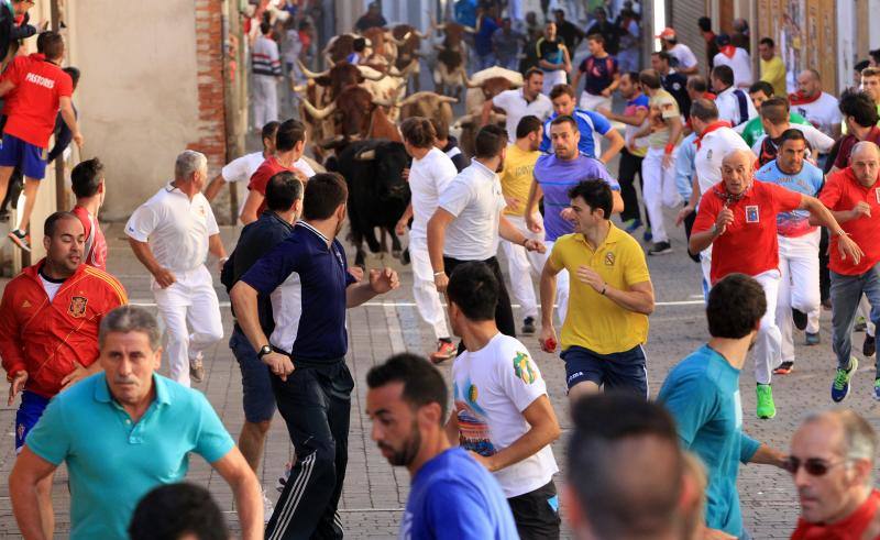Tercer encierro en las fiestas de la Virgen del Rosario en Cuéllar