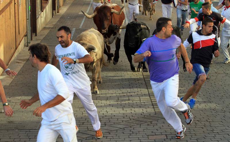 Tercer encierro en las fiestas de la Virgen del Rosario en Cuéllar