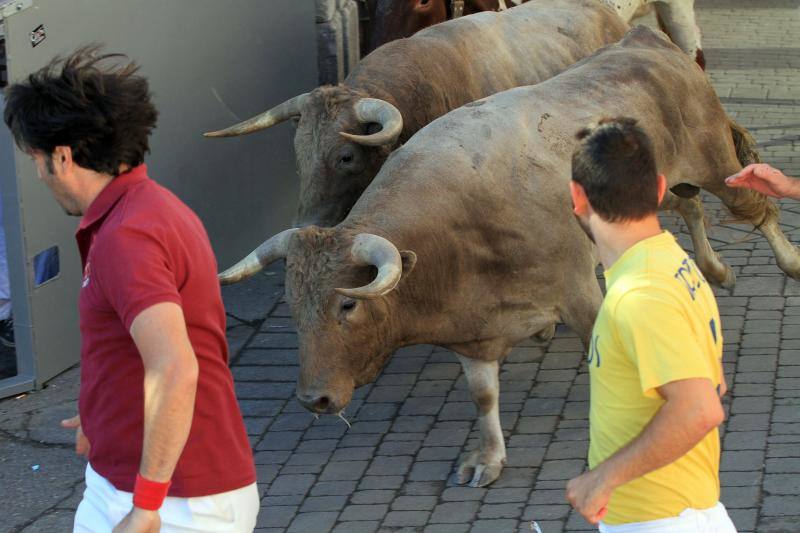 Tercer encierro en las fiestas de la Virgen del Rosario en Cuéllar