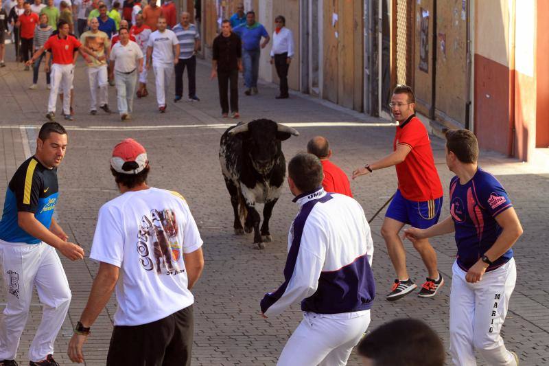Tercer encierro en las fiestas de la Virgen del Rosario en Cuéllar