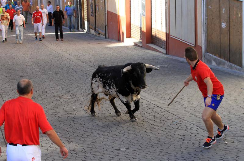 Tercer encierro en las fiestas de la Virgen del Rosario en Cuéllar