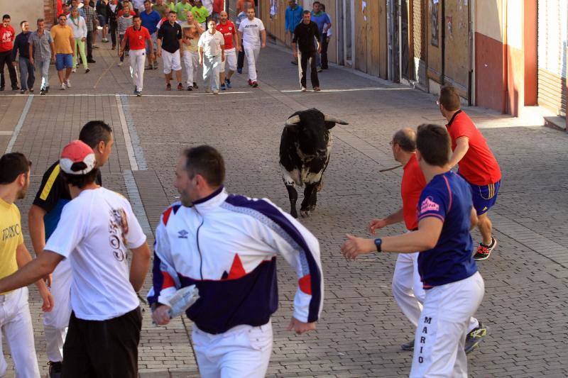 Tercer encierro en las fiestas de la Virgen del Rosario en Cuéllar