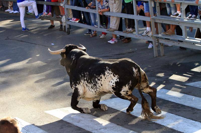 Tercer encierro en las fiestas de la Virgen del Rosario en Cuéllar