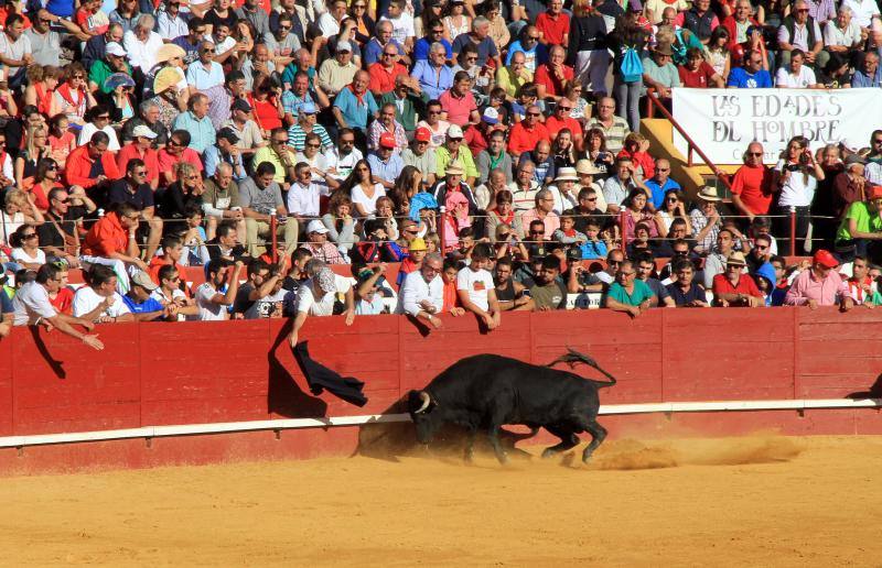 Tercer encierro en las fiestas de la Virgen del Rosario en Cuéllar