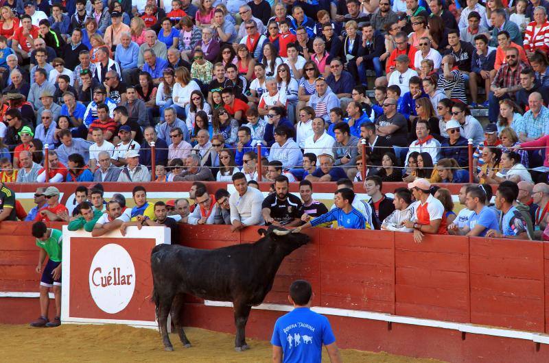 Tercer encierro en las fiestas de la Virgen del Rosario en Cuéllar