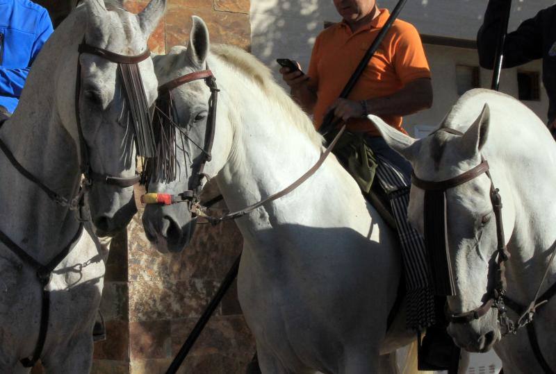 Tercer encierro en las fiestas de la Virgen del Rosario en Cuéllar