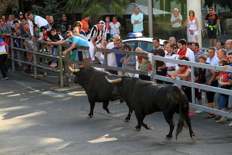 Cuarto encierro en las fiestas de Cuéllar