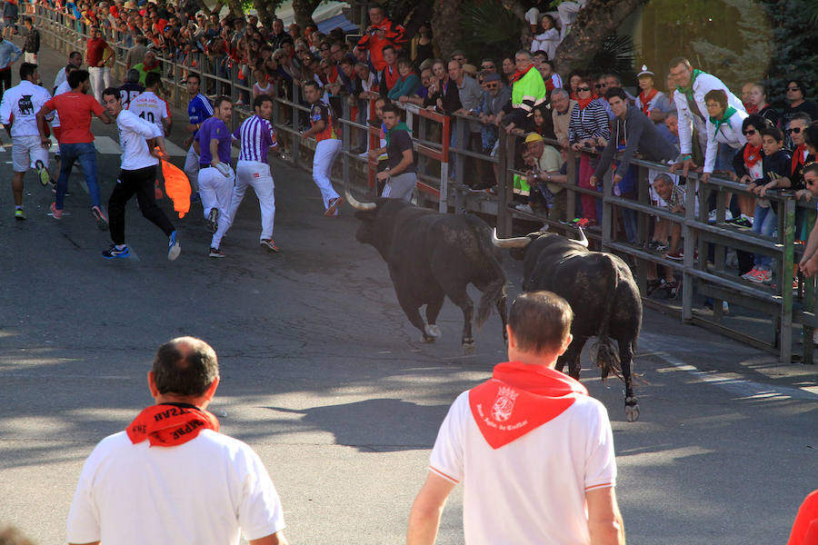 Cuarto encierro en las fiestas de Cuéllar