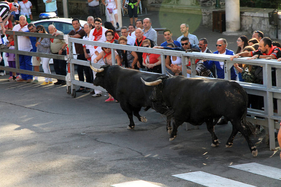 Cuarto encierro en las fiestas de Cuéllar