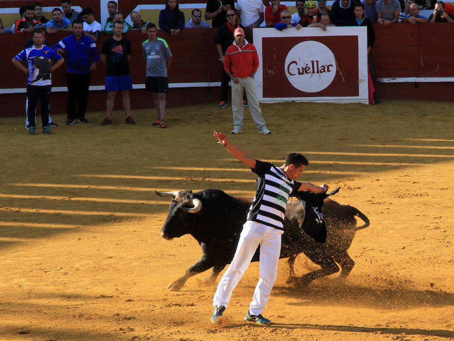 Cuarto encierro en las fiestas de Cuéllar