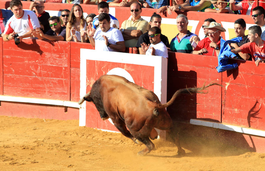 Cuarto encierro en las fiestas de Cuéllar