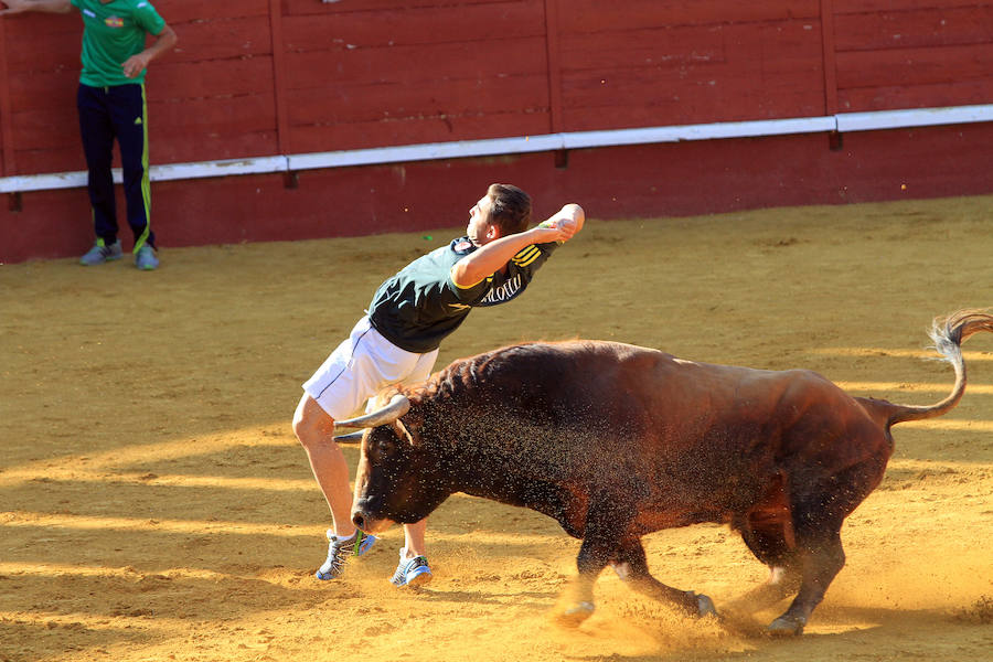 Cuarto encierro en las fiestas de Cuéllar