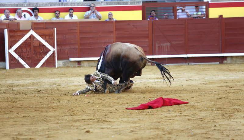 Cogida a Roca Rey en Palencia