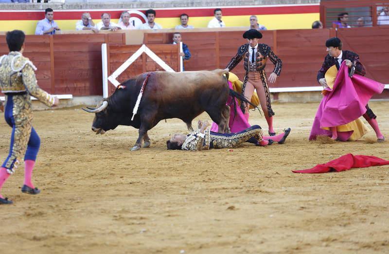 Cogida a Roca Rey en Palencia