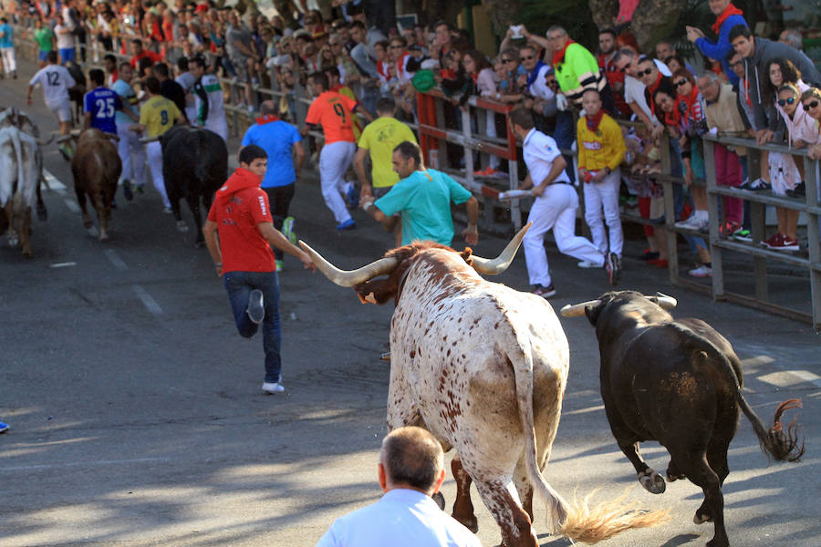 Quinto encierro en las fiestas de Cuéllar