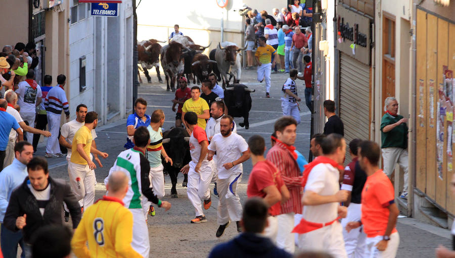 Quinto encierro en las fiestas de Cuéllar