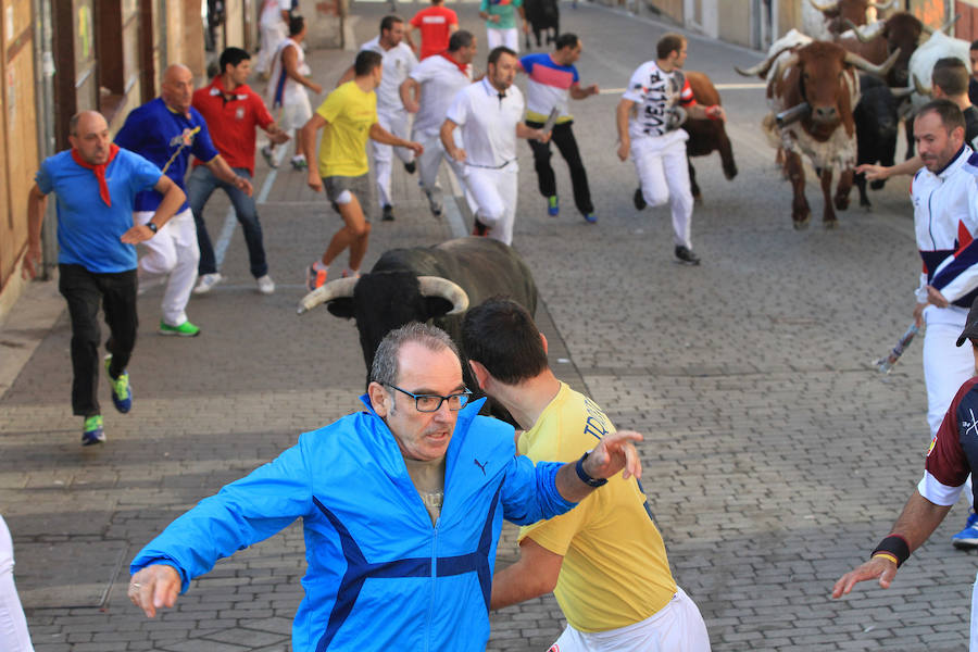 Quinto encierro en las fiestas de Cuéllar