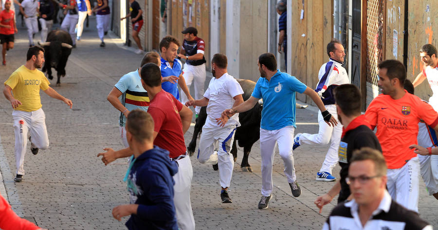 Quinto encierro en las fiestas de Cuéllar