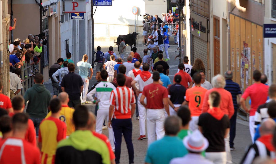 Quinto encierro en las fiestas de Cuéllar