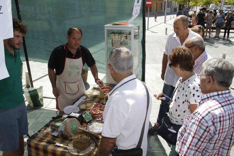 Feria del queso en Sardón