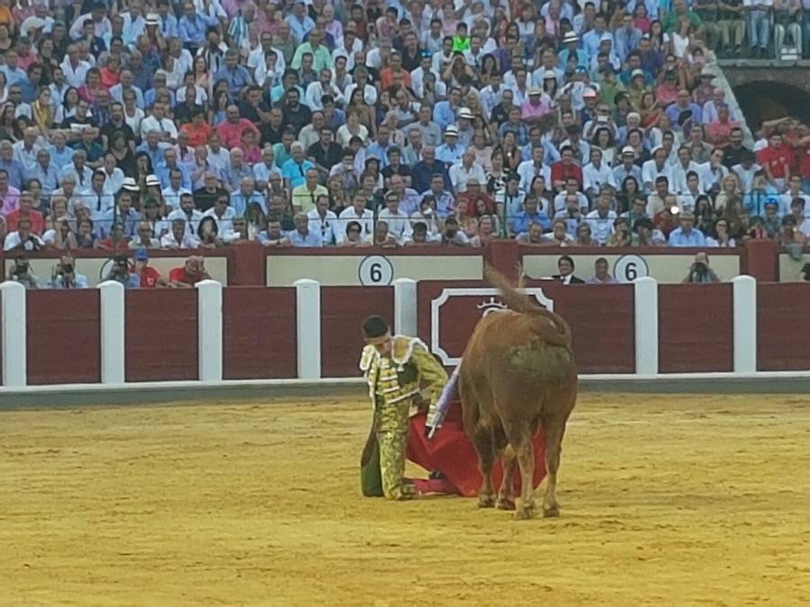 Corrida en homenaje a Víctor Barrio