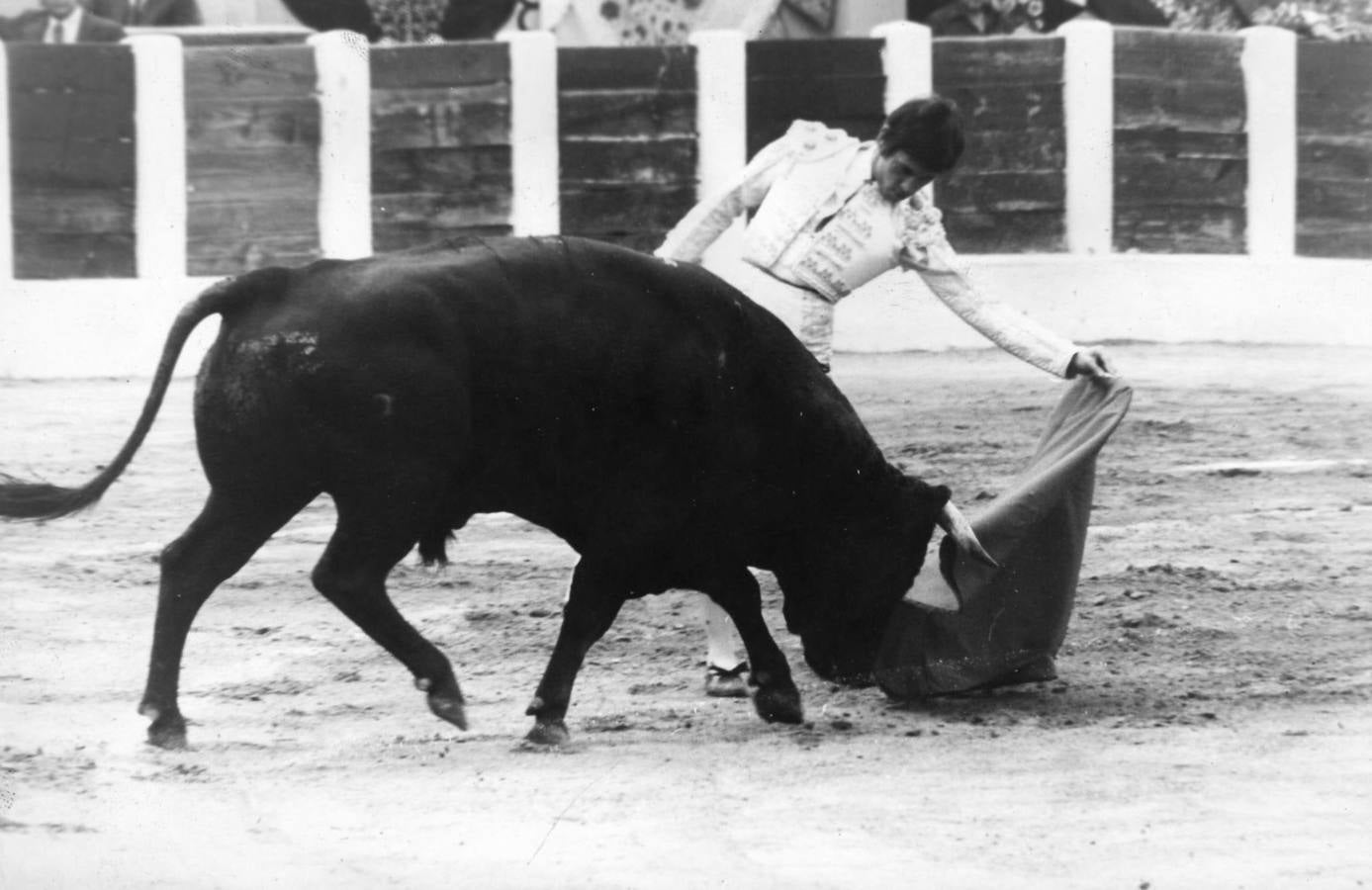 1981