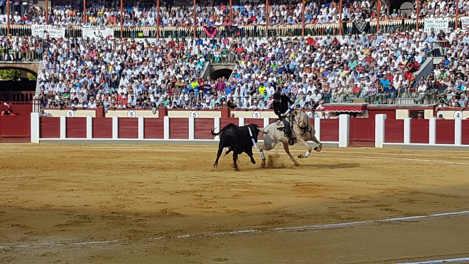 Corrida de Toros de José Tomás y José María Manzanares en Valladolid (1/2)