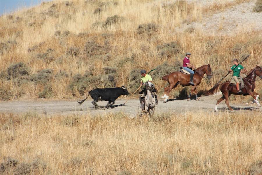 Encierro en Portillo