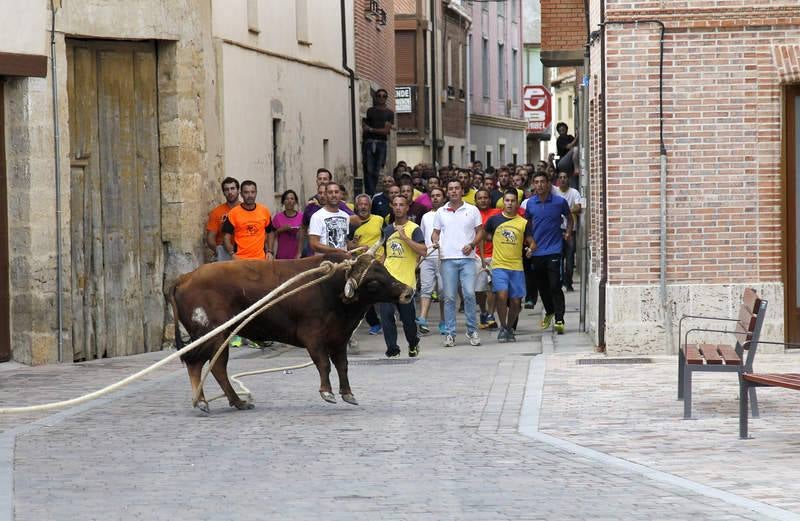 Astudillo celebra su tradicional &#039;toro enmaromado&#039;