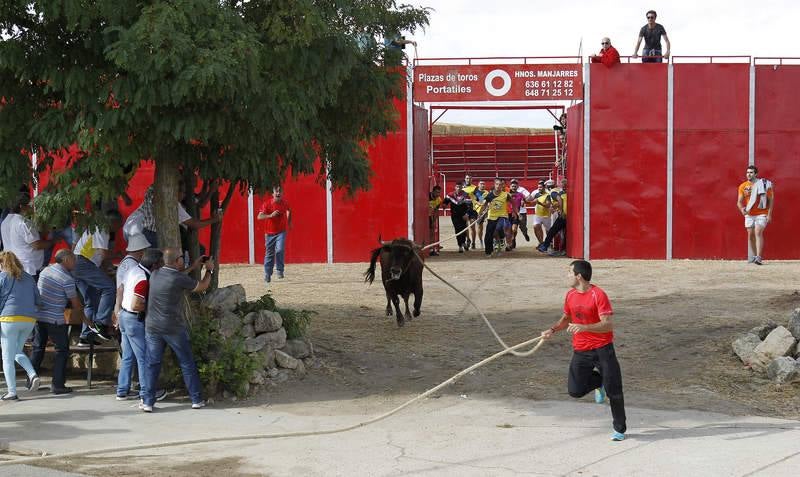 Astudillo celebra su tradicional &#039;toro enmaromado&#039;