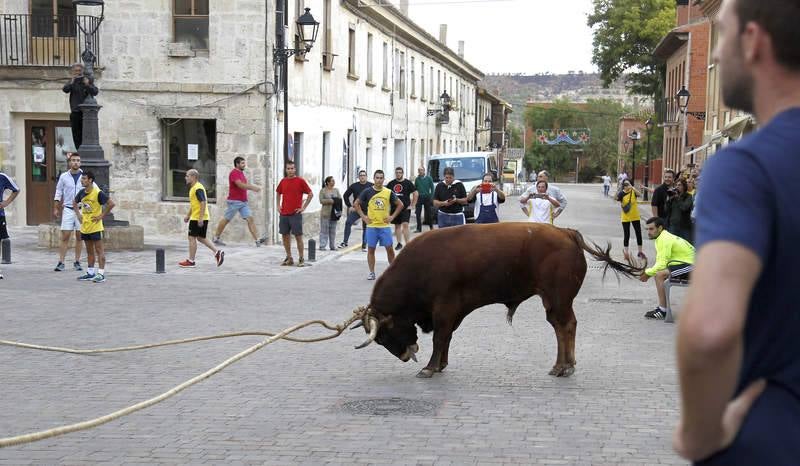 Astudillo celebra su tradicional &#039;toro enmaromado&#039;