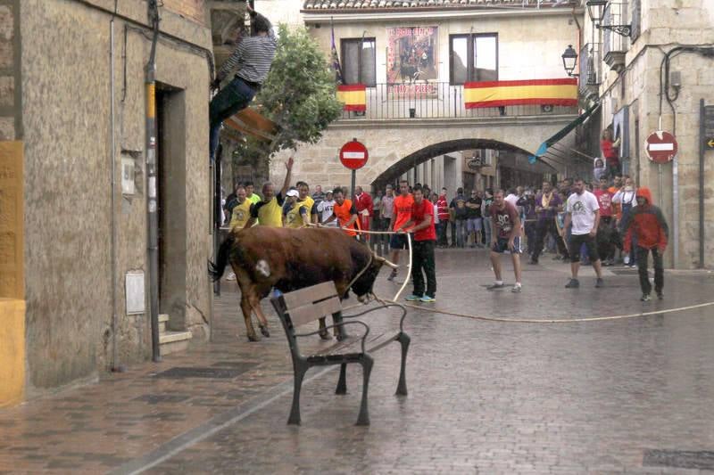 Astudillo celebra su tradicional &#039;toro enmaromado&#039;