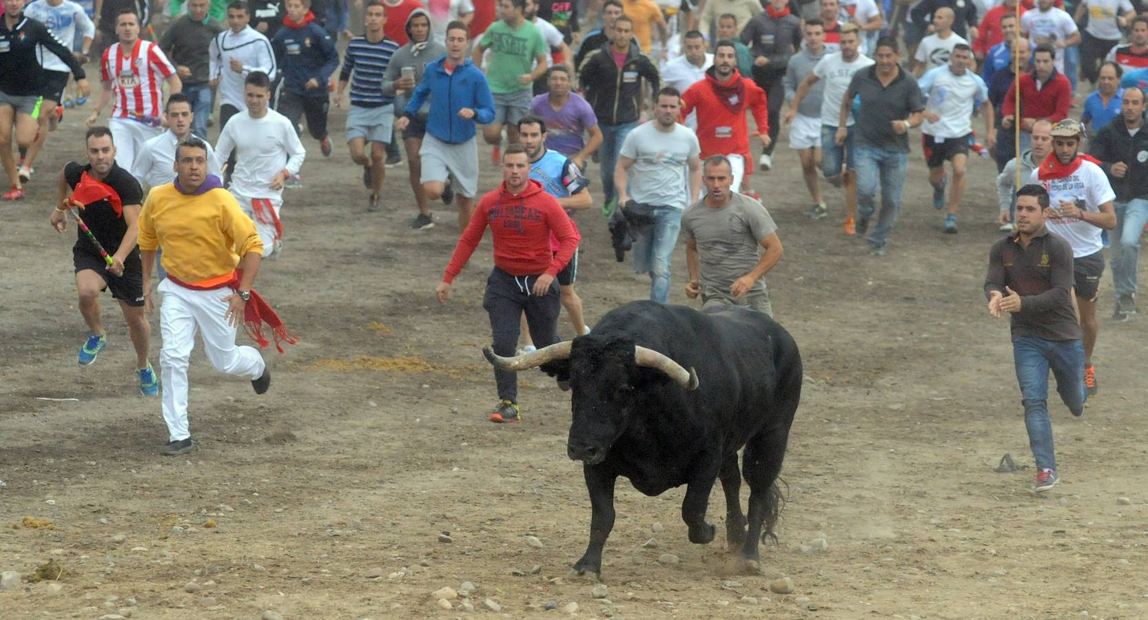 Tordesillas celebra su primer Toro de la Peña